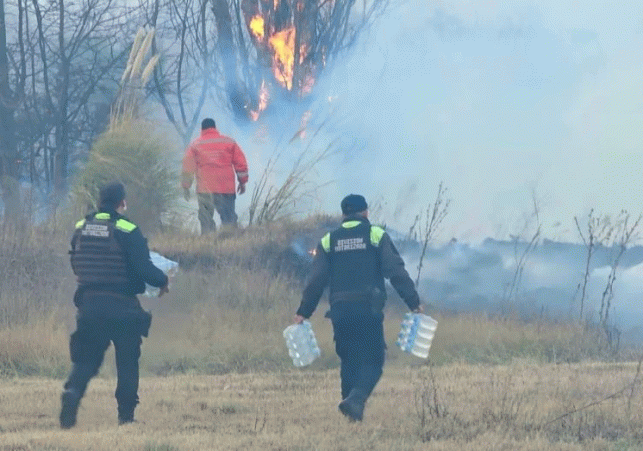 InfoSanLuis - Noticias locales