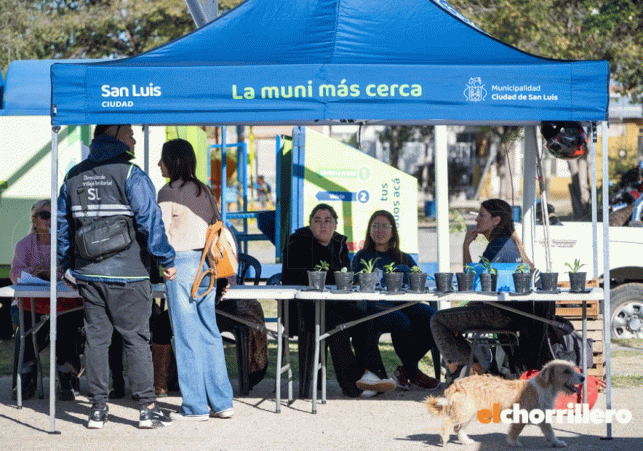 InfoSanLuis - Noticias locales
