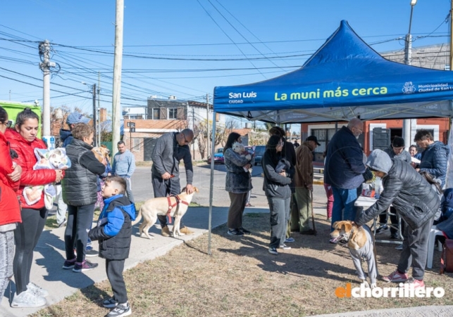 InfoSanLuis - Noticias locales
