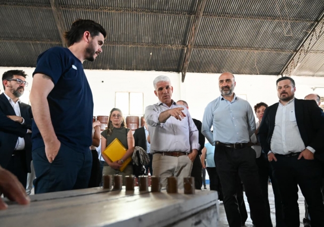 InfoSanLuis - Noticias locales