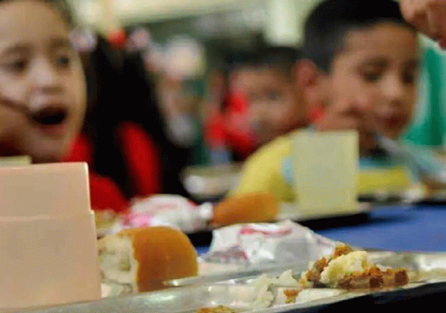 InfoSanLuis - Noticias locales