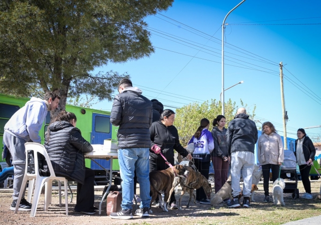 InfoSanLuis - Noticias locales