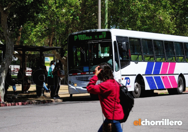 InfoSanLuis - Noticias locales