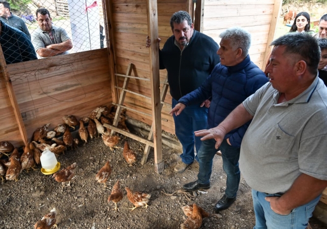 InfoSanLuis - Noticias locales InfoSanLuis - Noticias locales