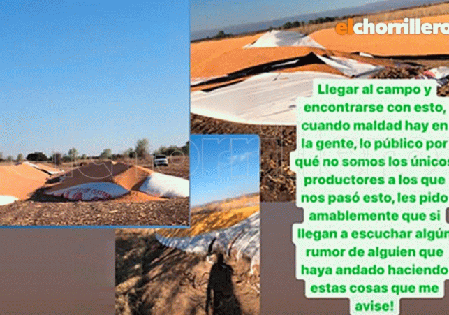 InfoSanLuis - Noticias locales
